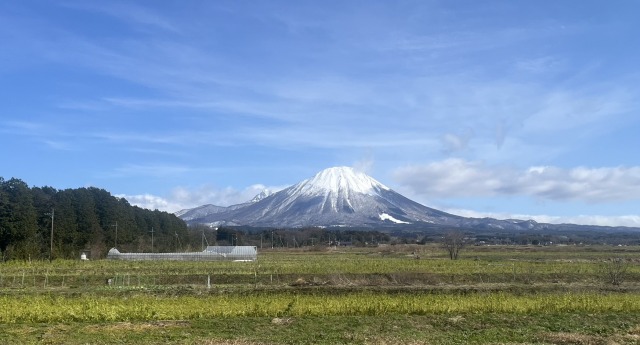 暖冬ですね～の画像