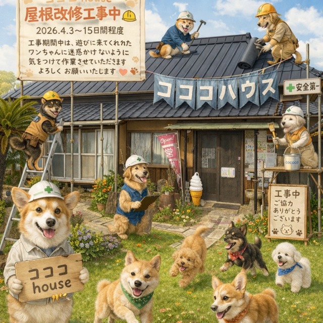岡山市　ドッグラン「コココhouse」様　屋根改修工事スタートのお知らせ🐶の画像
